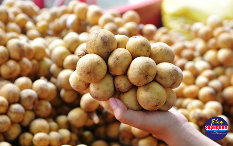 bòn bon Tiên Phước bòn bon Tiên Phước